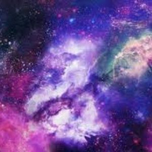 Meet your Posher, Timmy